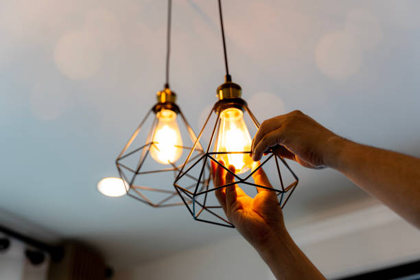 Best Local Electrician Companies  in Warm Springs, CA